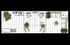 10' x 30' Inline Exhibit w/ Wood Pergola, Coffee Bar, and Semi-Private Meeting Area (ID0552)